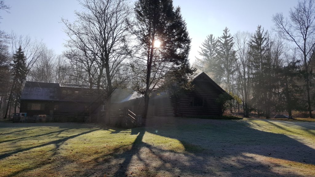 The sun streams through mist and a tree above a log cabin